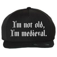 I'm Not Old I'm Medieval Joust Medieval Jousting Ren Faire Wool Snapback Cap