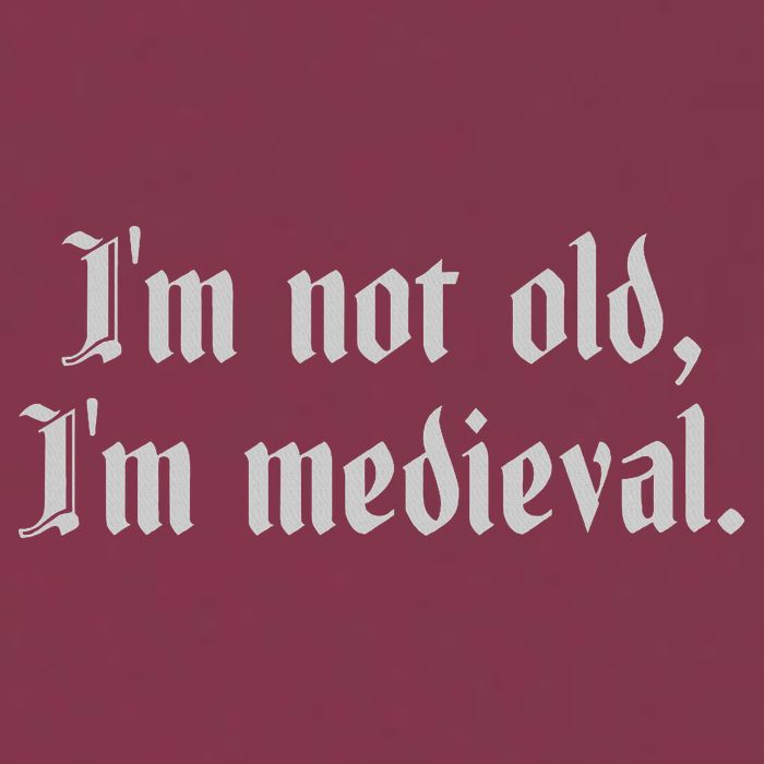 I'm Not Old I'm Medieval Joust Medieval Jousting Ren Faire 16oz Travel Tumbler