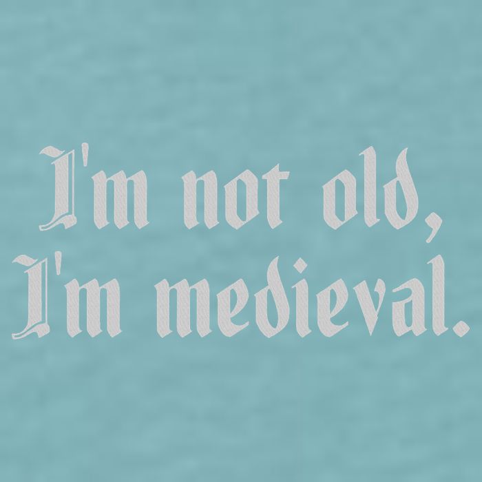 I'm Not Old I'm Medieval Joust Medieval Jousting Ren Faire Sueded Cloud Jersey T-Shirt