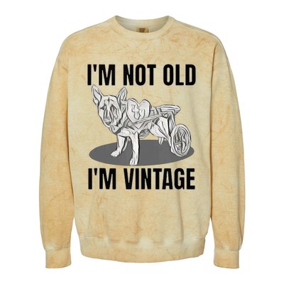 IM Not Old IM Colorblast Crewneck Sweatshirt