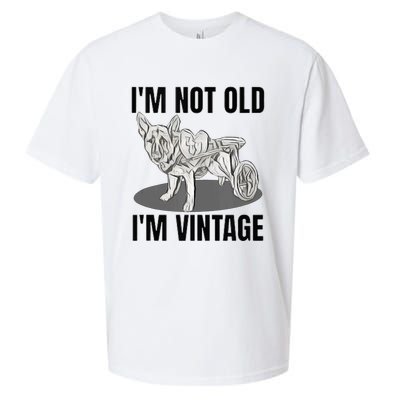 IM Not Old IM Sueded Cloud Jersey T-Shirt