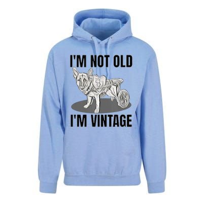 IM Not Old IM Unisex Surf Hoodie