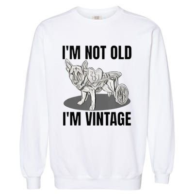 IM Not Old IM Garment-Dyed Sweatshirt