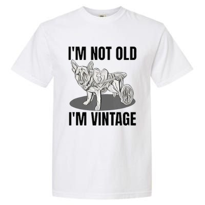 IM Not Old IM Garment-Dyed Heavyweight T-Shirt