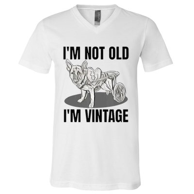 IM Not Old IM V-Neck T-Shirt