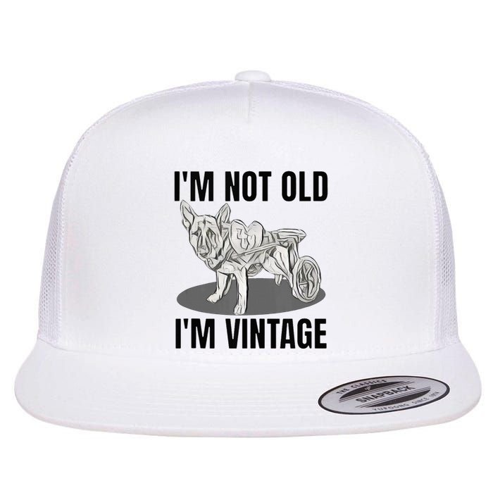 IM Not Old IM Flat Bill Trucker Hat