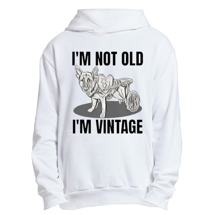 IM Not Old IM Urban Pullover Hoodie