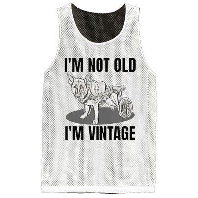 IM Not Old IM Mesh Reversible Basketball Jersey Tank