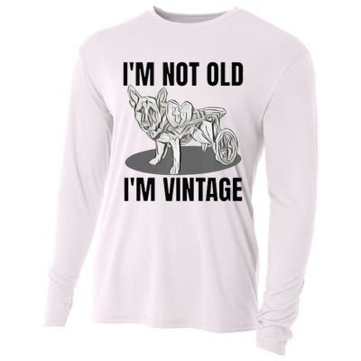 IM Not Old IM Cooling Performance Long Sleeve Crew