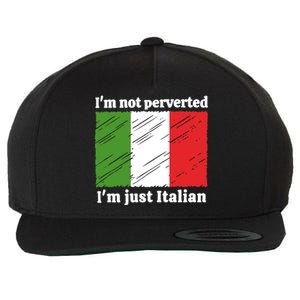 Im Not Perverted Just Italian Wool Snapback Cap