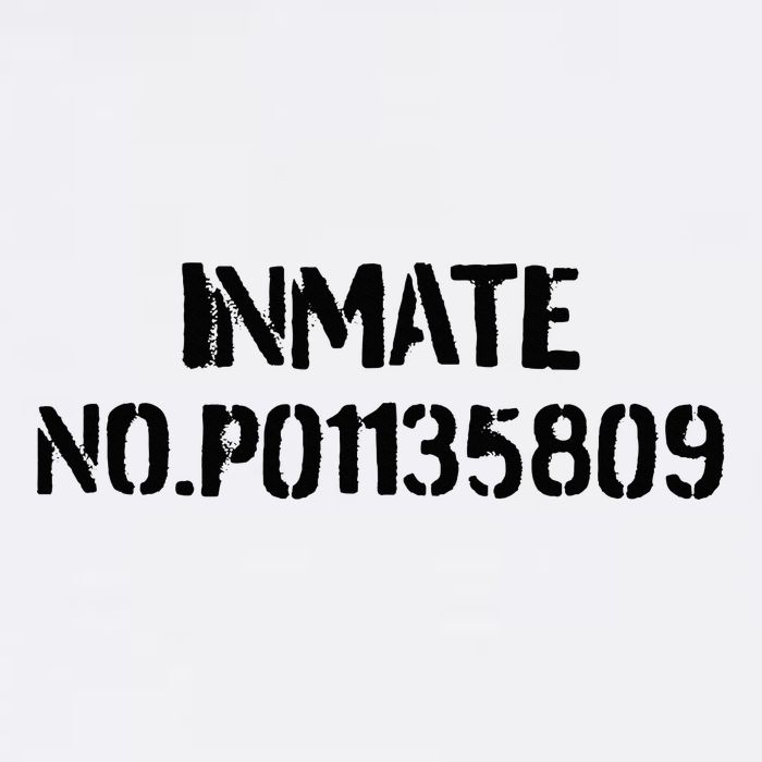 Inmate No. P01135809 County Jail Funny Orange 11oz C Handle Ceramic Mug
