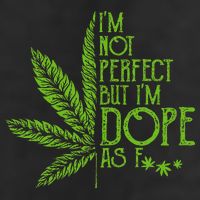 IM Not Perfect But IM Dope As Fuck Weed 420 Stoner Gift 7 Panel Mesh Trucker Snapback Hat
