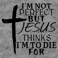 I'm Not Perfect But Jesus Thinks I'm To Die For Toddler Hoodie