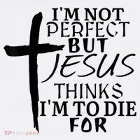 I'm Not Perfect But Jesus Thinks I'm To Die For Premium T-Shirt