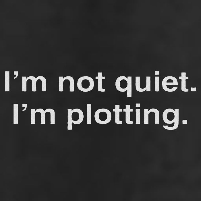 I'm Not Quiet I'm Plotting Funny Introvert Garment-Dyed Heavyweight T-Shirt