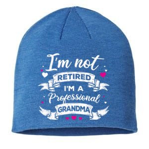 I'm Not Retired I Am A Professional Grandma Granny Family Gift Sustainable Beanie