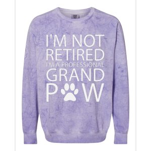 I’m Not Retired I’m A Professional Grand Paw Fathers Day Colorblast Crewneck Sweatshirt