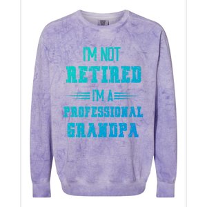 Im Not Retired Im Professional Fathers Day Retired Grandpa Gift Colorblast Crewneck Sweatshirt