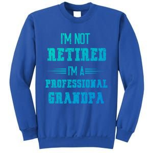 Im Not Retired Im Professional Fathers Day Retired Grandpa Gift Sweatshirt