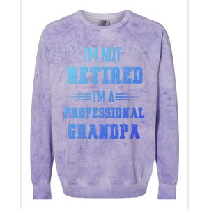 Im Not Retired Im Professional Fathers Day Retired Grandpa Gift Colorblast Crewneck Sweatshirt