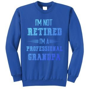 Im Not Retired Im Professional Fathers Day Retired Grandpa Gift Sweatshirt