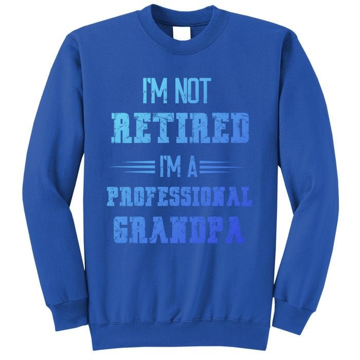 Im Not Retired Im Professional Fathers Day Retired Grandpa Gift Sweatshirt