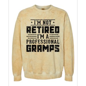 Im Not Retired Im A Professional Gramps Gift Funny Grandpa Colorblast Crewneck Sweatshirt