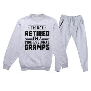 Im Not Retired Im A Professional Gramps Gift Funny Grandpa Premium Crewneck Sweatsuit Set