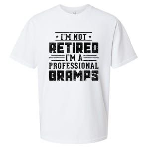 Im Not Retired Im A Professional Gramps Gift Funny Grandpa Sueded Cloud Jersey T-Shirt