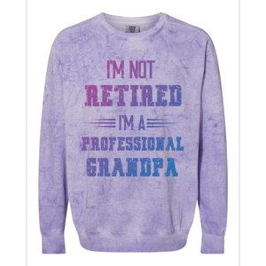 Im Not Retired Im Professional Fathers Day Retired Grandpa Gift Colorblast Crewneck Sweatshirt