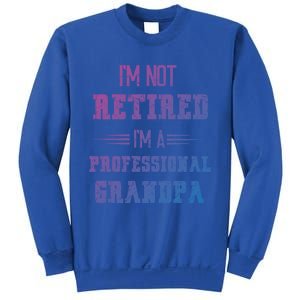 Im Not Retired Im Professional Fathers Day Retired Grandpa Gift Sweatshirt