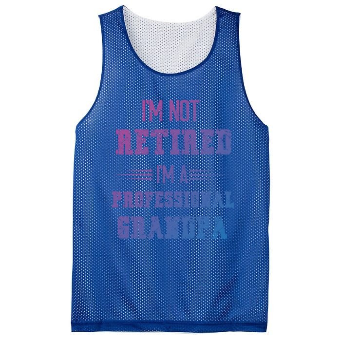 Im Not Retired Im Professional Fathers Day Retired Grandpa Gift Mesh Reversible Basketball Jersey Tank