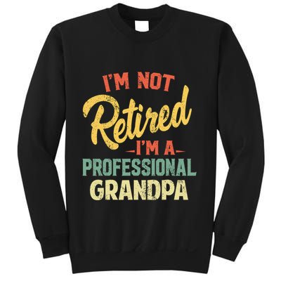 I'm Not Retired A Professional Papa Fathers Day Gift Sweatshirt