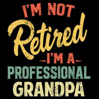 I'm Not Retired A Professional Papa Fathers Day Gift 7-Panel Snapback Hat