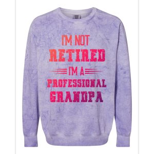 Im Not Retired Im Professional Fathers Day Retired Grandpa Gift Colorblast Crewneck Sweatshirt