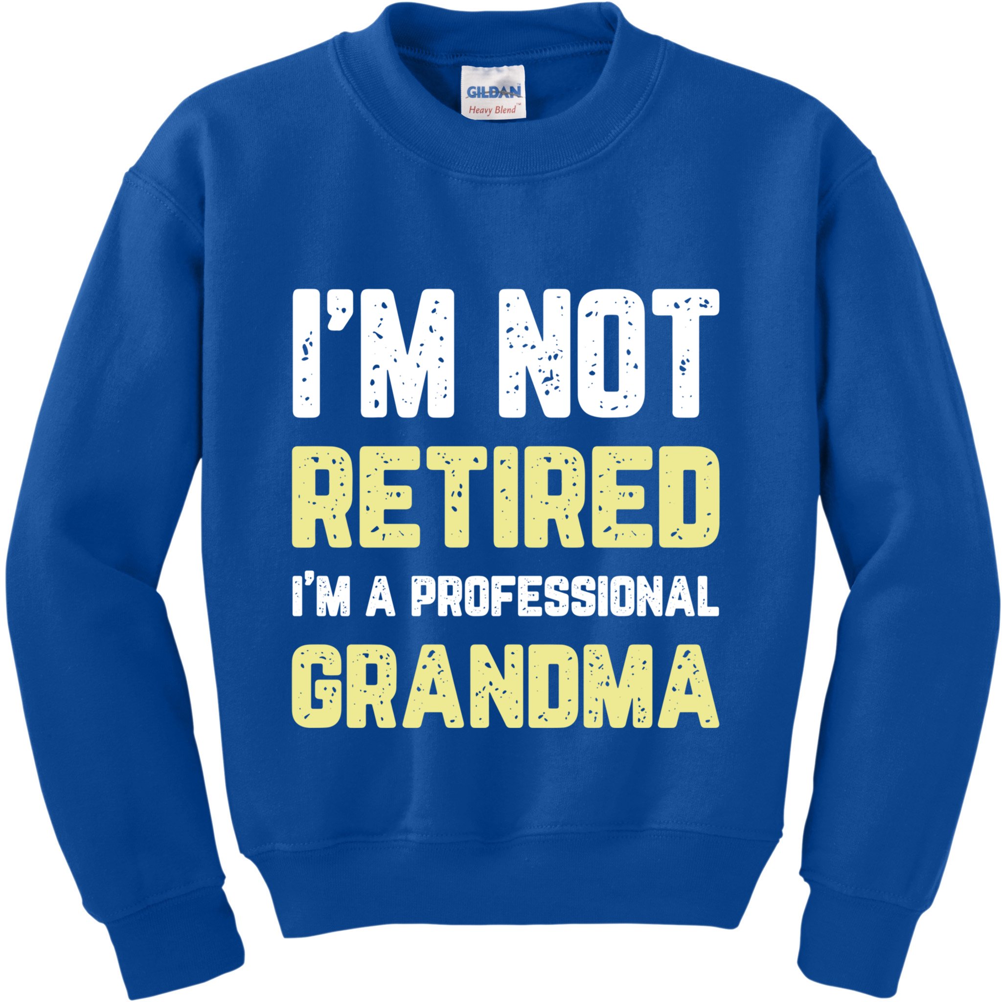 Im Not Retired Professional Grandma Retiret Cool Gift Kids Sweatshirt