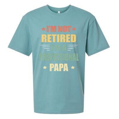 IM Not Retired IM A Professional Papa Sueded Cloud Jersey T-Shirt