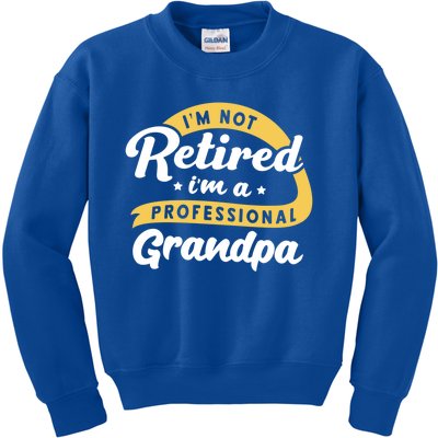 I'm Not Retired I'm A Professional Grandpa Funny Grandfather Great Gift Kids Sweatshirt