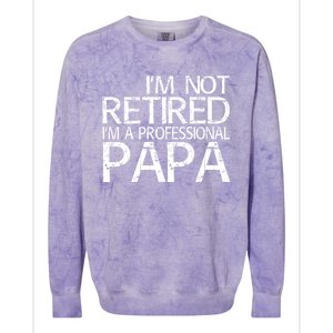 Im Not Retired Im A Professional Papa FatherS Day Colorblast Crewneck Sweatshirt