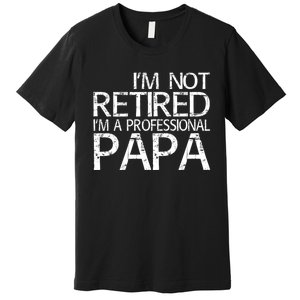 Im Not Retired Im A Professional Papa FatherS Day Premium T-Shirt