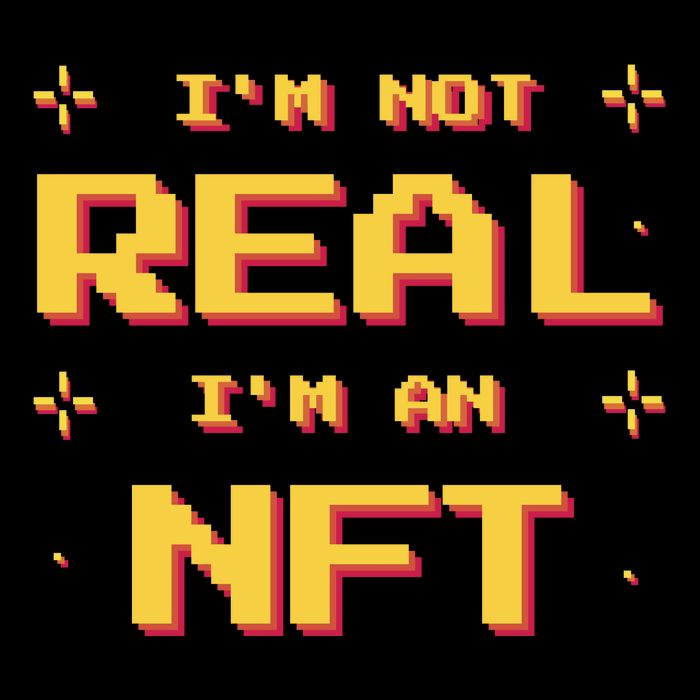 I'm Not Real I'm An NFT Apron