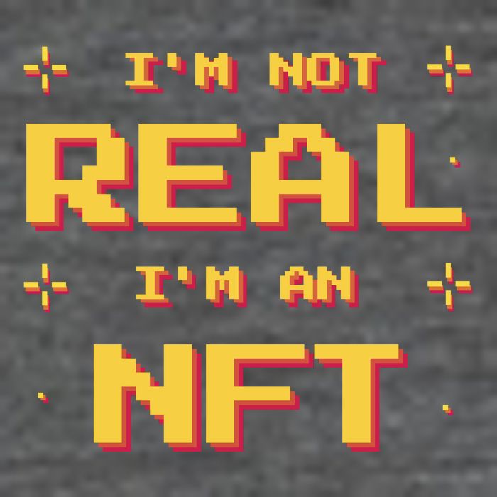I'm Not Real I'm An NFT Backpack