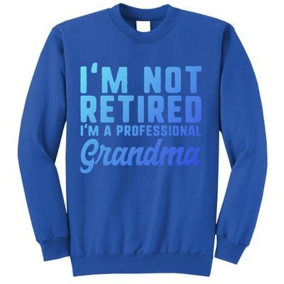 Im Not Retired Professional Grandma Retiret Funny Funny Gift Sweatshirt