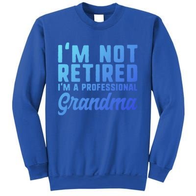 Im Not Retired Professional Grandma Retiret Funny Funny Gift Sweatshirt