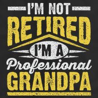 Im Not Retired Im A Professional Grandpa Grandparents Day Adult Drive Performance Visor