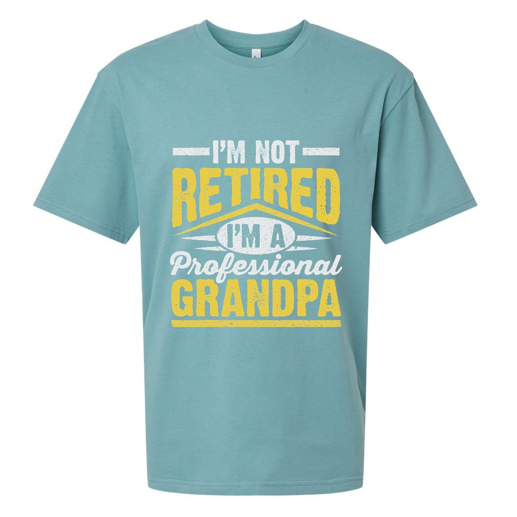 Im Not Retired Im A Professional Grandpa Grandparents Day Sueded Cloud Jersey T-Shirt