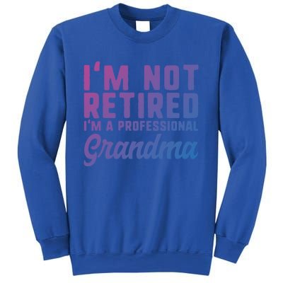 Im Not Retired Professional Grandma Retiret Funny Funny Gift Sweatshirt