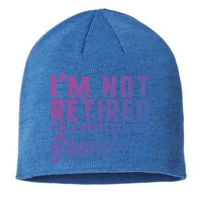 Im Not Retired Professional Grandma Retiret Funny Funny Gift Sustainable Beanie