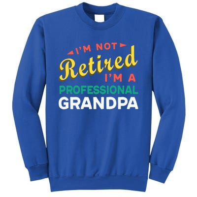 I'm Not Retired I'm A Professional Grandpa Gift Sweatshirt