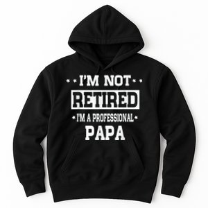 I'm Not Retired I'm A Professional Papa Hoodie